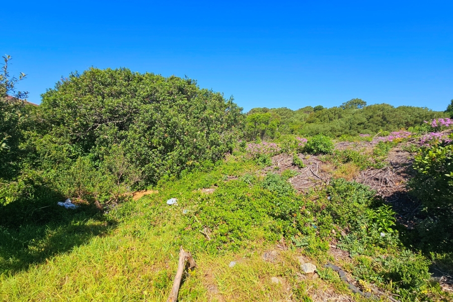 0 Bedroom Property for Sale in Paradise Beach Eastern Cape